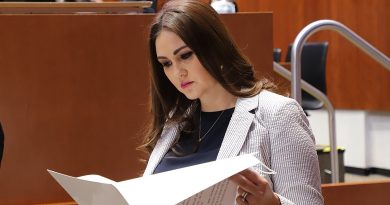Urge diseñar plan de protección integral para jueces y magistrados: Geovanna Bañuelos