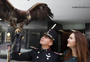 Deben redoblarse esfuerzos en preservación del Águila Real: Geovanna Bañuelos