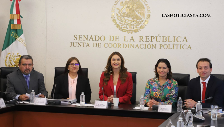 Comisión de Minería del Senado cierra ejercicio sin rezago: Geovanna Bañuelos