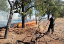 Alertan a población para evitar incendios forestales en Zacatecas