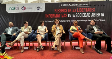 Redes favorecen transparencia, pero corren riesgo de desinformar: Julieta del Río