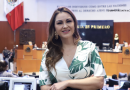 Es necesario fortalecer la misión social de la Profeco: Geovanna Bañuelos
