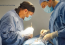En Hospital General de Jerez, primera cirugía de vétebras cervicales