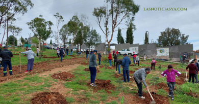 Nueva jornada de reforestación en la colonia González Ortega en Zacatecas