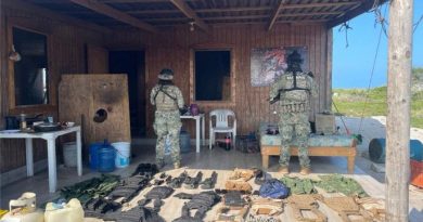 Aseguran droga y químicos, detienen delincuentes y decomisan armas en siete estados