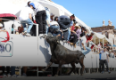 Un encierro que late al ritmo de la tradición jerezana