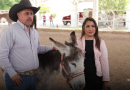 Jerez rescata burro maltratado y garantiza su protección