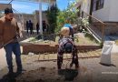 Zacatecas reforesta comunidades con participación ciudadana