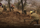 Guardia Nacional auxilia en combate de incendio en Sierra de Morones