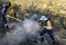 Liquidan incendio en Villa de Cos; 3,200 hectáreas perdidas