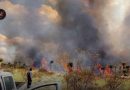 Retirada: incendio activo supera capacidades en Villa de Cos