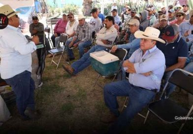 Jerez moderniza su agricultura con tecnología y sustentabilidad