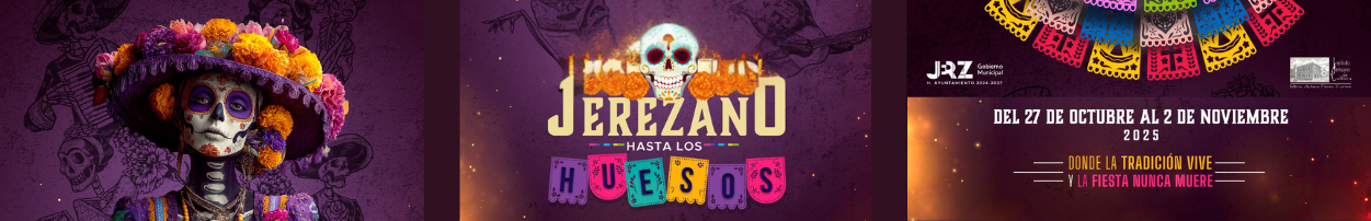 Gobierno de Jerez